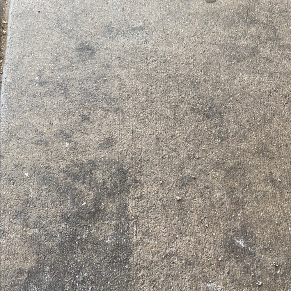 Meet your Posher, Tony